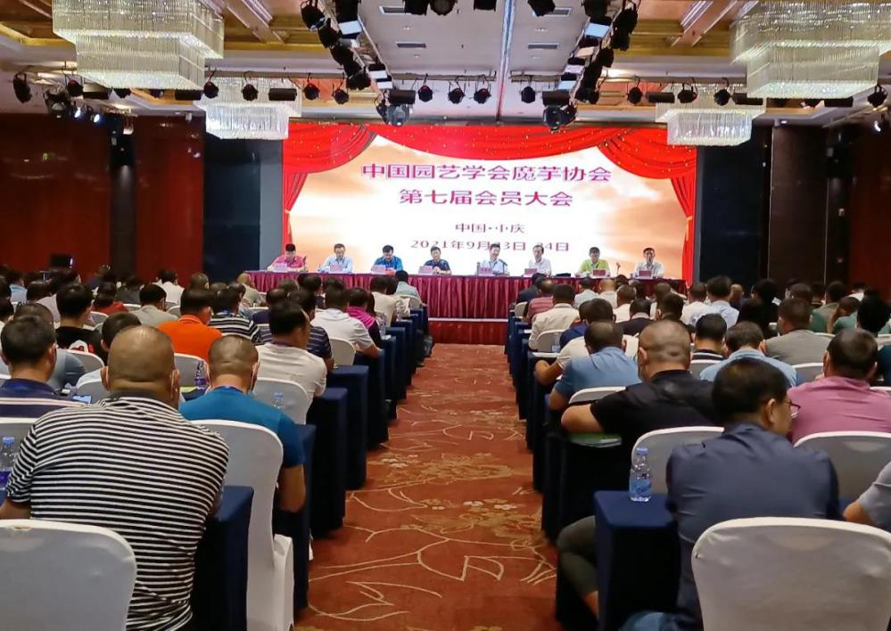 图片 4