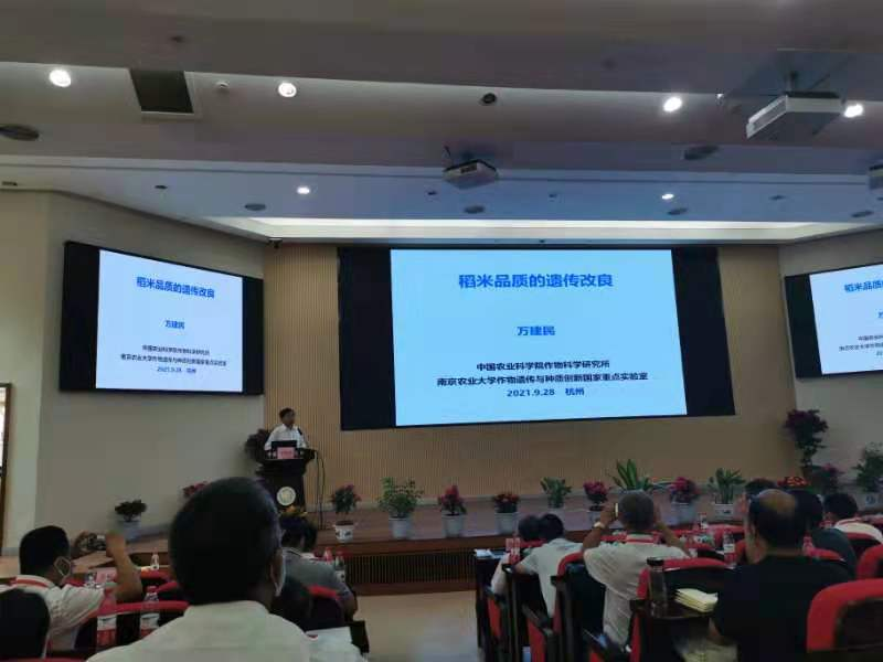 图片 9