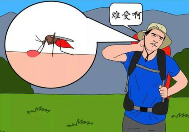 图片9