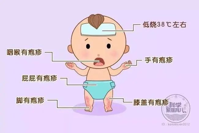 图片7