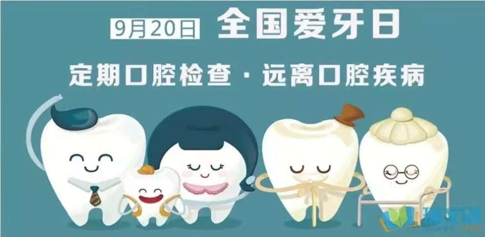 图片8