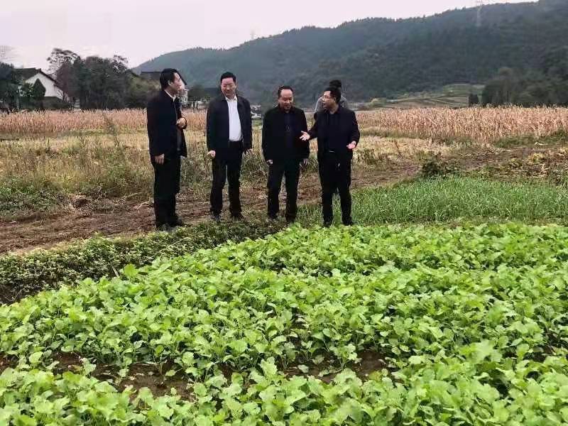 微信图片_20211017193029