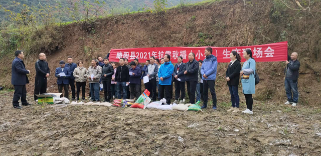 图片 21