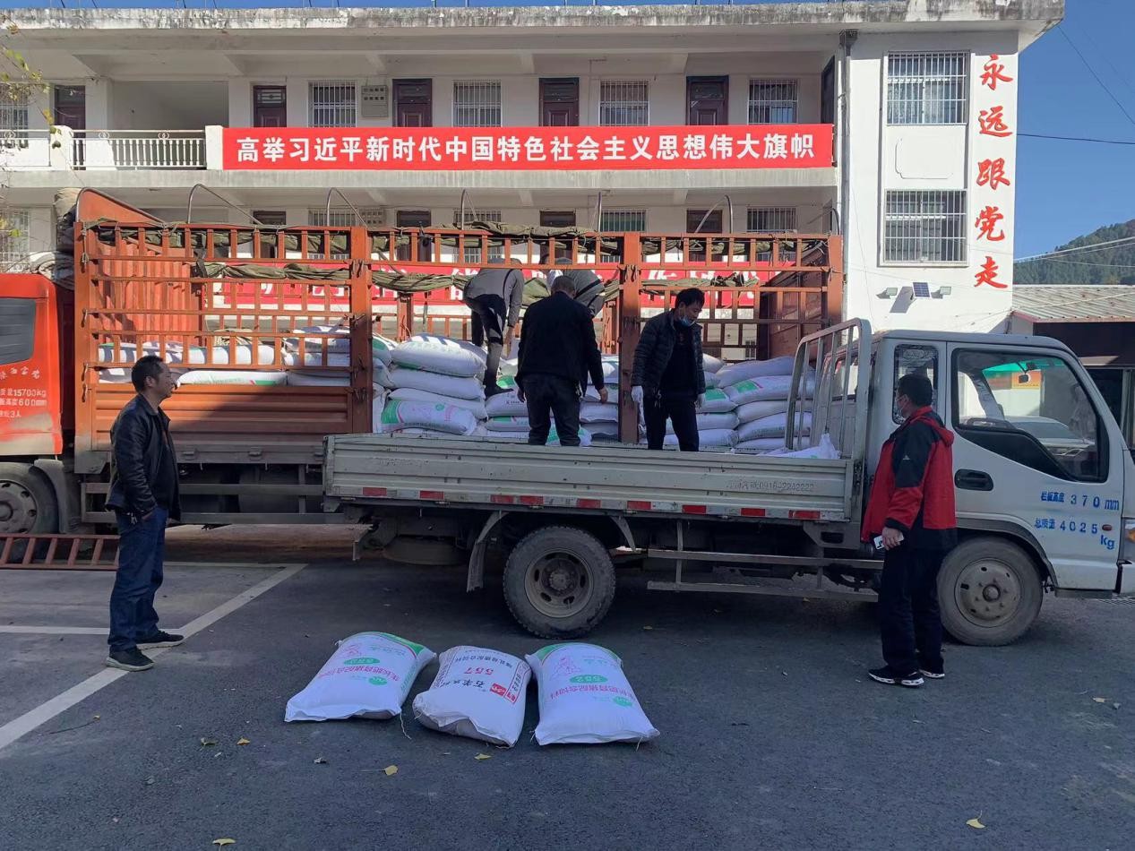 图片 4