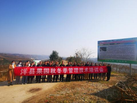 图片 3