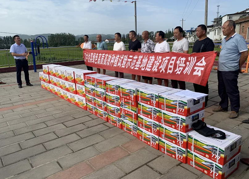 图片 14