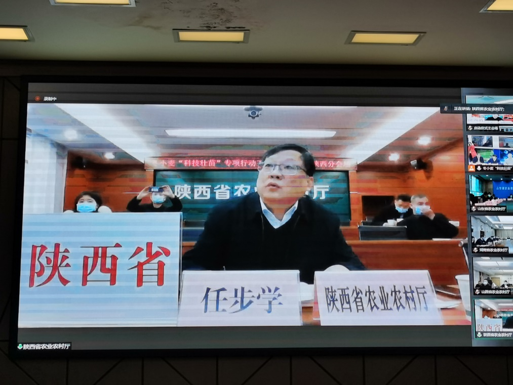 图片 4