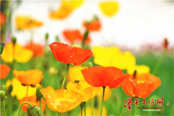 c6fa8e02c52b0bf0e78adbf23e7a2595_4bfc2be7397ec
