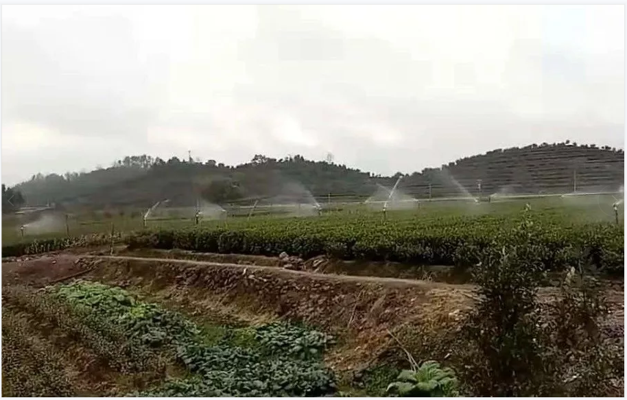 QQ图片20220323094256