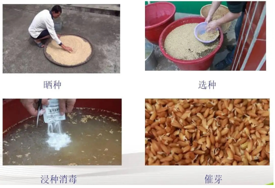 QQ图片20220329091316