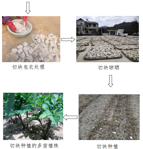QQ图片20220329094700