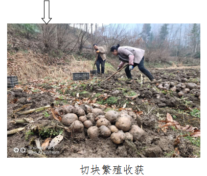 QQ图片20220329094705
