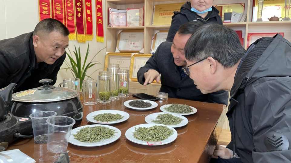 QQ图片20220329095354