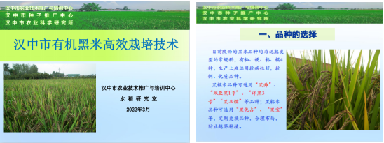 QQ图片20220331154227