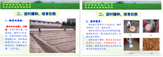 QQ图片20220331154240