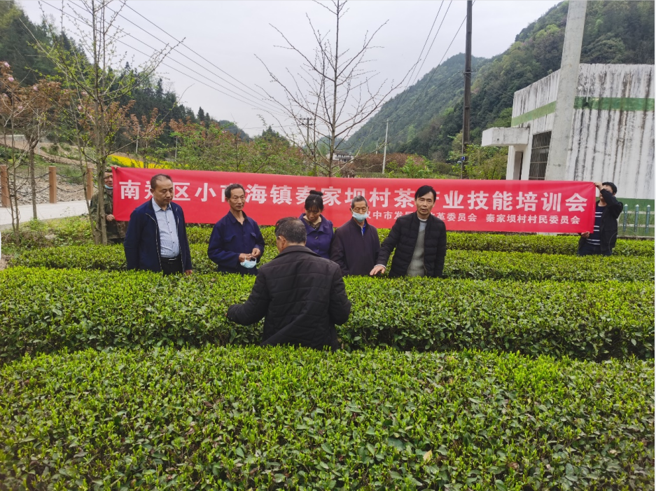 QQ图片20220331162053