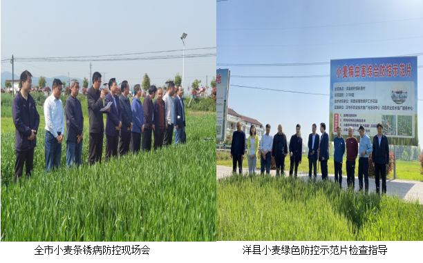 QQ图片20220411164033