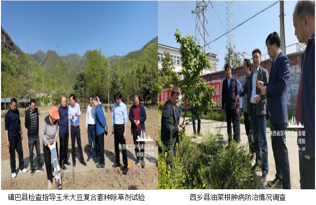 QQ图片20220411164041