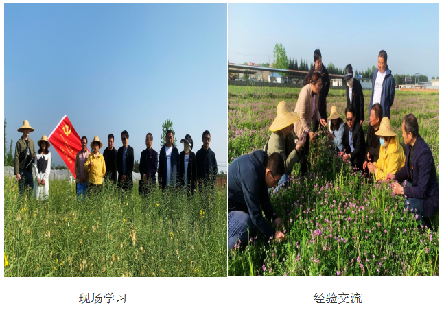 QQ图片20220412100305