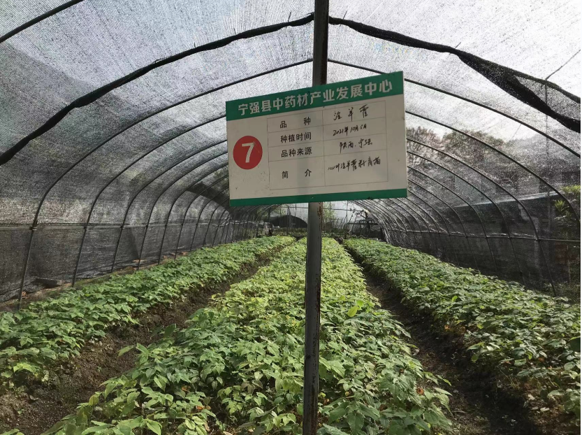 QQ图片20220412110532