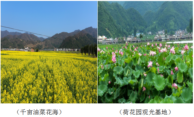 QQ图片20220412160527