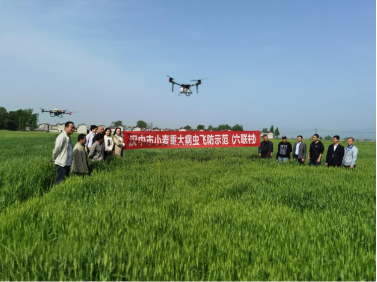 QQ图片20220414161154
