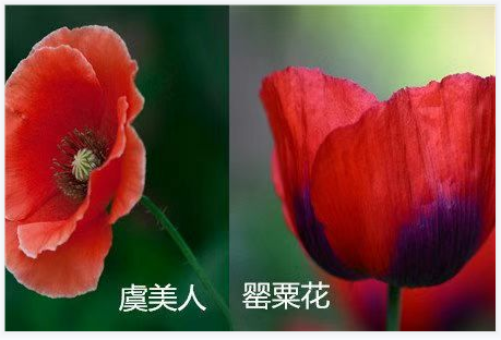 QQ图片20220419155154