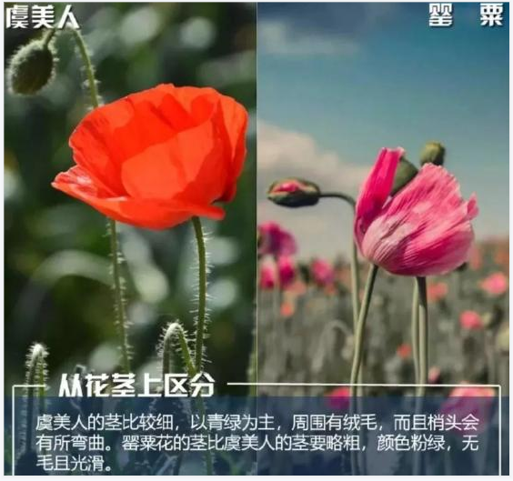 QQ图片20220419155208