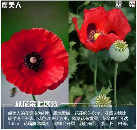 QQ图片20220419155212