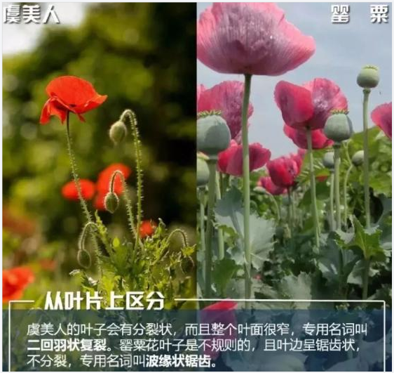 QQ图片20220419155217