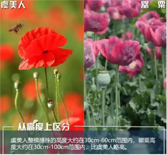QQ图片20220419155224