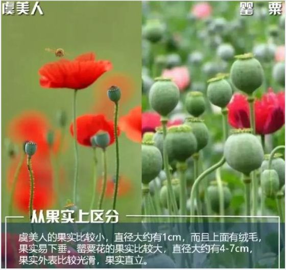 QQ图片20220419155221