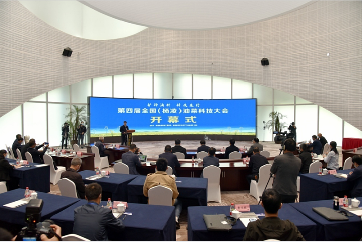 QQ图片20220512163836