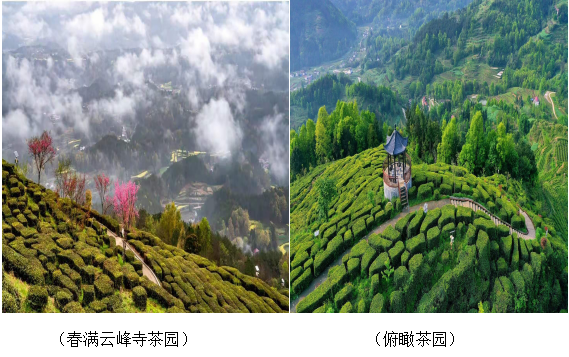 QQ图片20220518155456