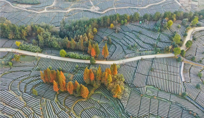 QQ图片20220531085504