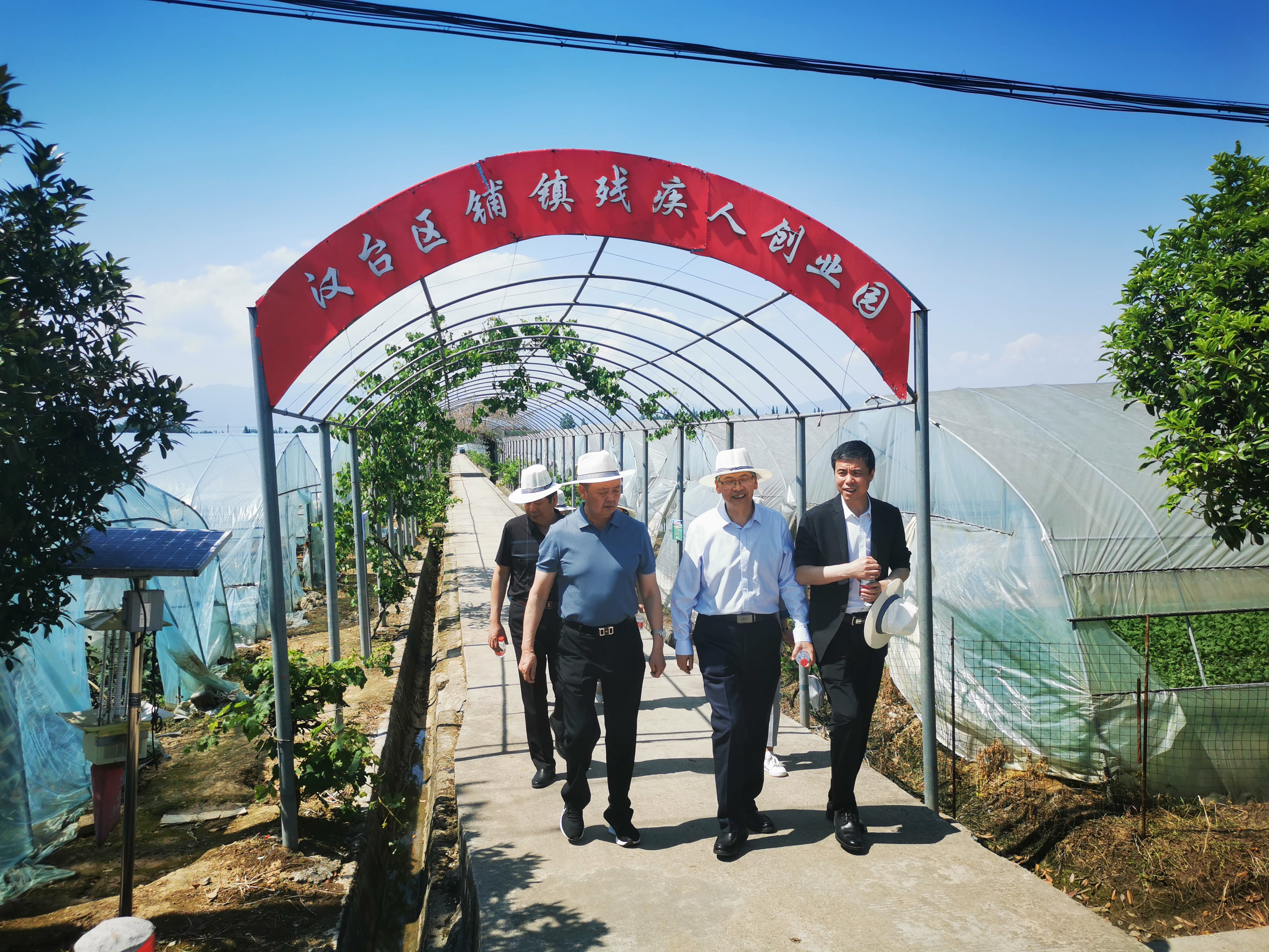 在汉台区铺镇狮子营村调研