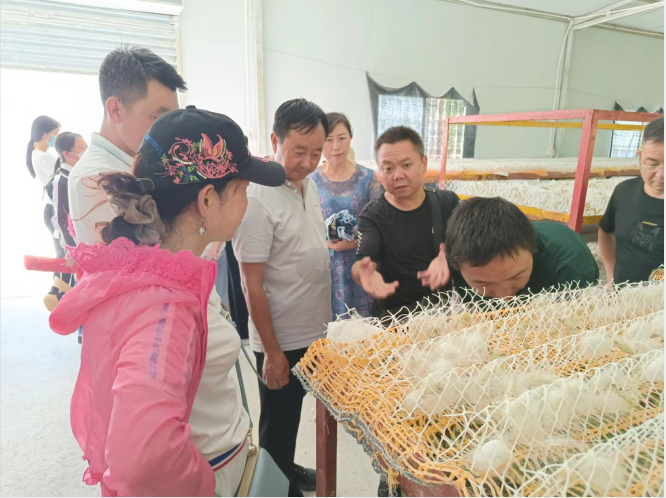 QQ图片20220617152227