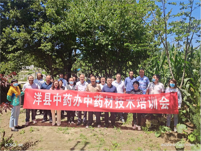 QQ图片20220722171804