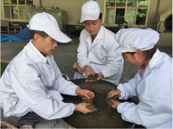 QQ图片20220727162527