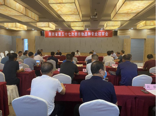 QQ图片20220808092151