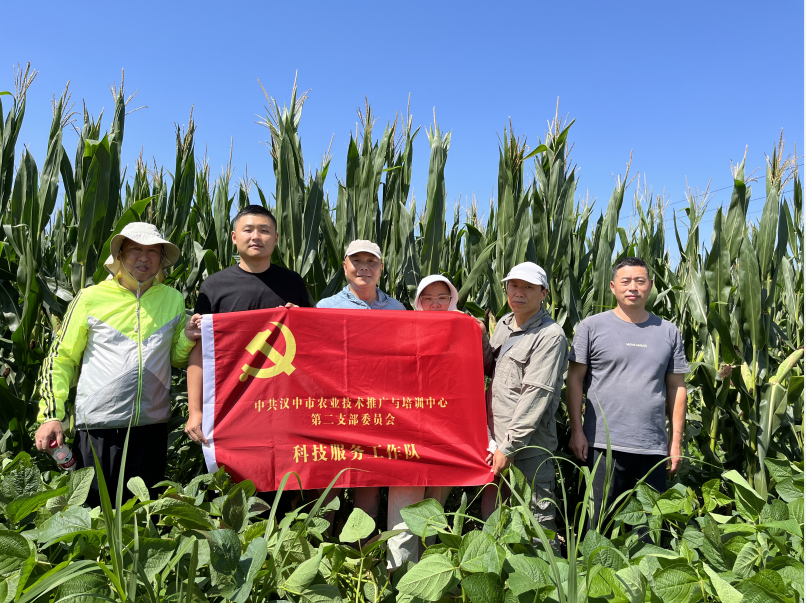 QQ图片20220808100809