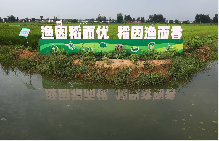 QQ图片20220808102935