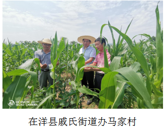 QQ图片20220808112152