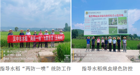 QQ图片20220808112156