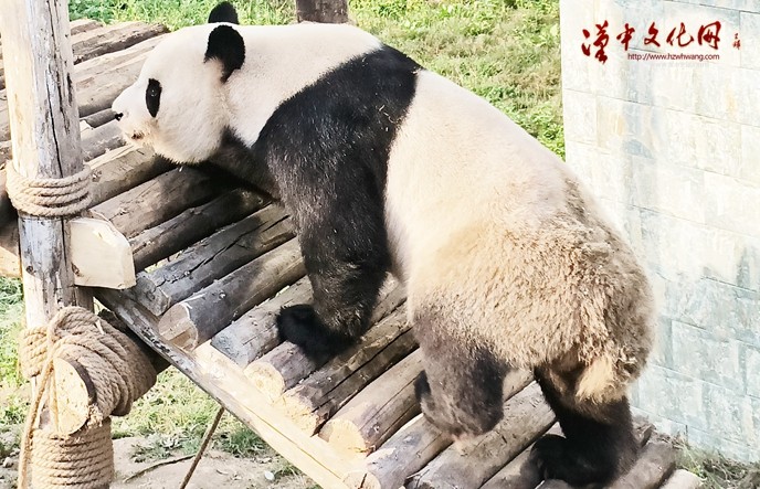 2_副本