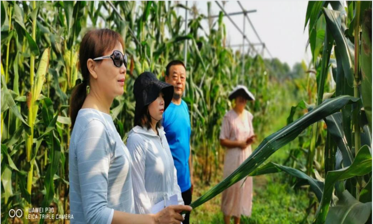 QQ图片20220817105942