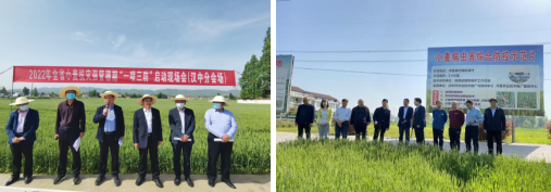 组合 10
