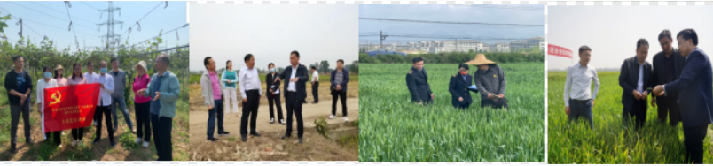 QQ图片20220817172720