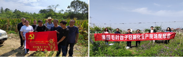 组合 8(1)