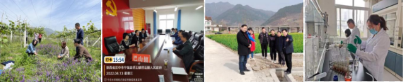 QQ图片20220817172715